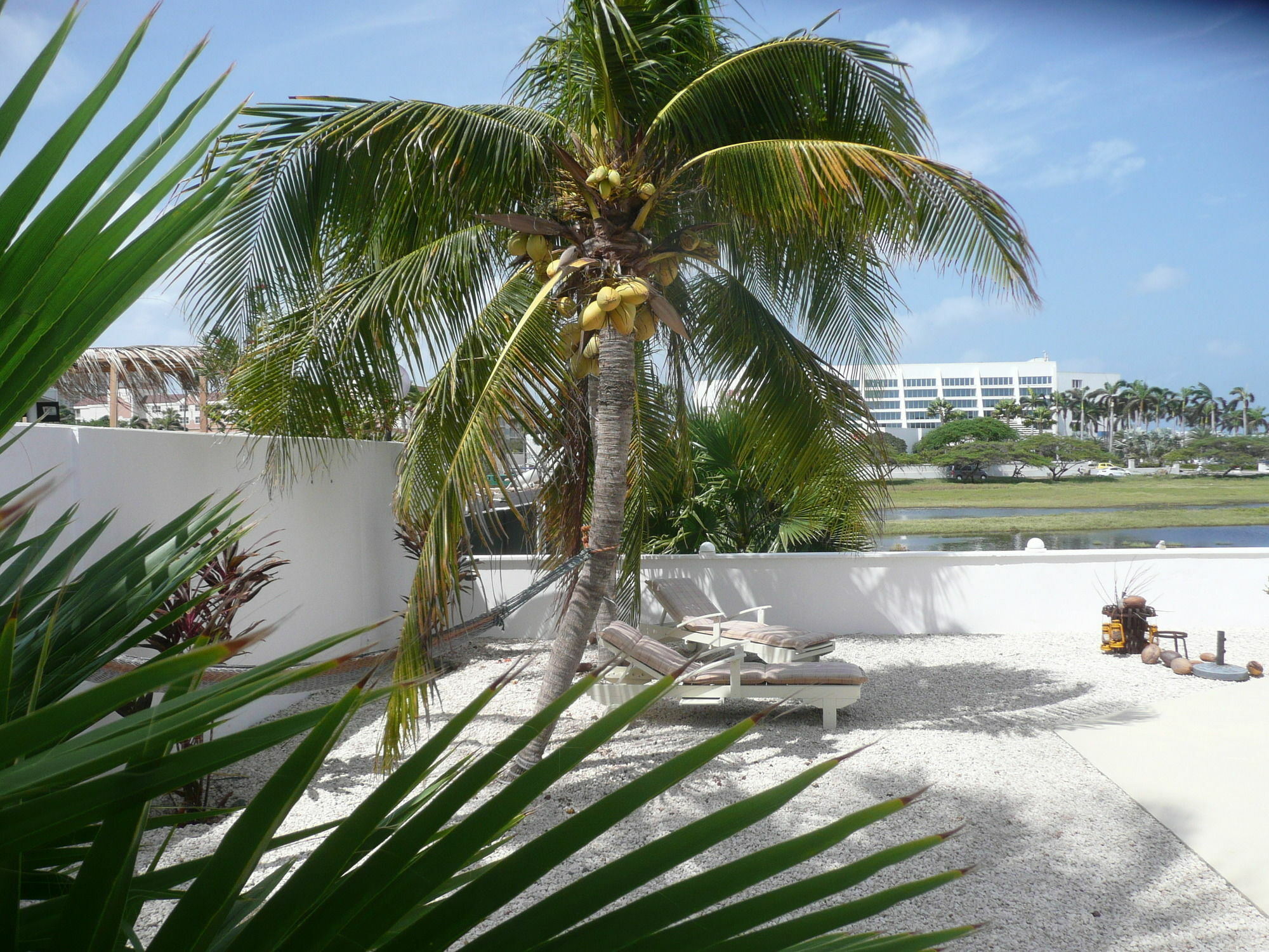 Karibu Aruba Boutique Hotel Palm Beach Exterior foto